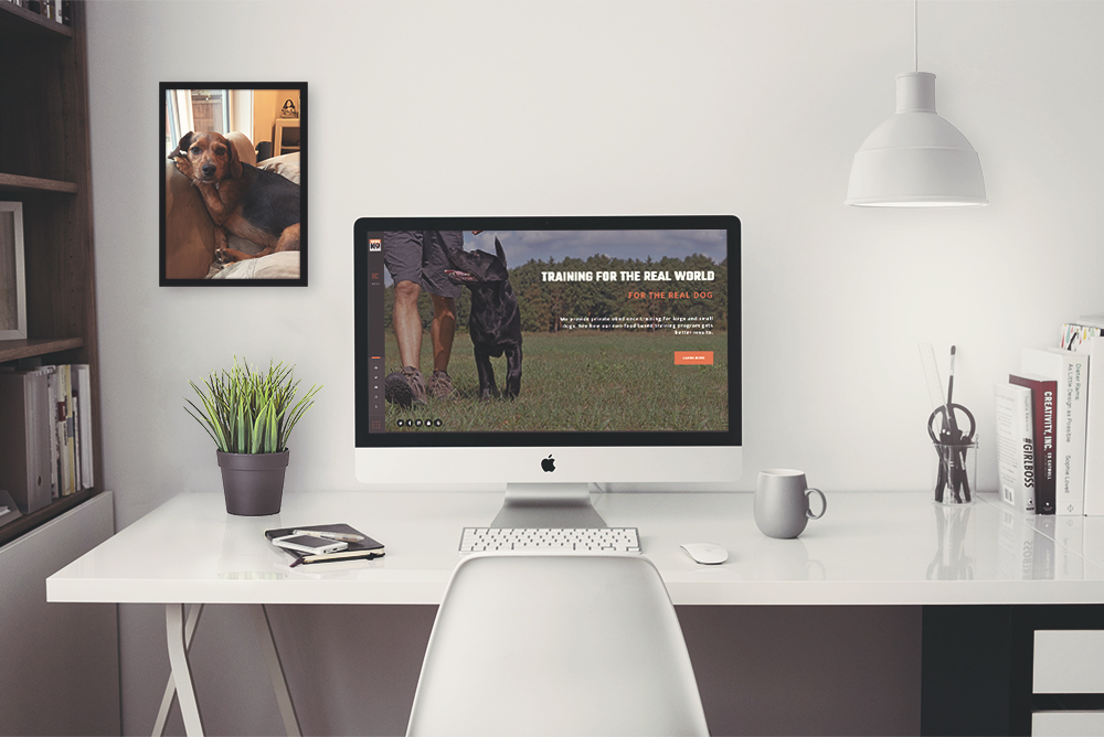 dog training website design